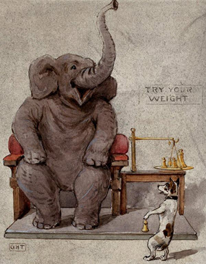 Elephant and dog