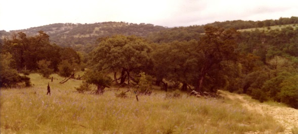 scanned photo of the ranch