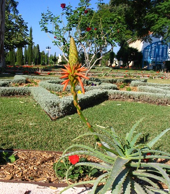 Gardens at Bahji