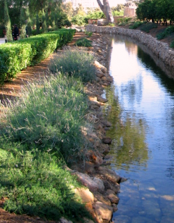 photo of a stream