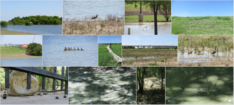 photo collage from the park
