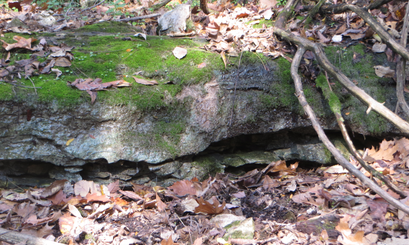 rock ledge outcrop