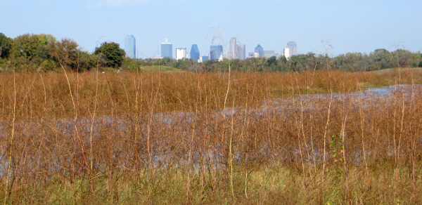 chain of wetlands